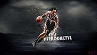 精选NBA篮球球星(11)